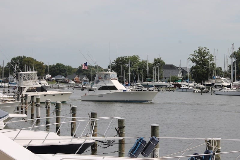 WW-Day-on-the-Bay-2018-094